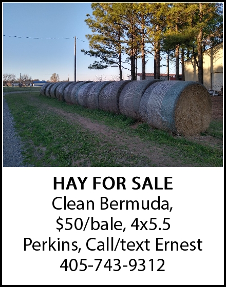 HAY FOR SALE!! Give Ernest a Call TODAY! 405-743-9312
#TheRightChoice #classifiedswork #shopperswork #AtYourService #oklahomahay