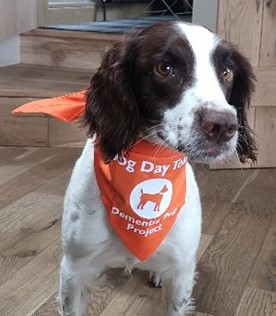Humbled when others raise funds for our cause. Graham aka Whisky & his Spinger Spaniel Betty volunteer at our Dog Days in Helensburgh. Whisky is going to cycle from Lands End to John O’Groats, starting the 1080 mile journey on 19 May 2024. Read his story justgiving.com/page/whisky-wa…