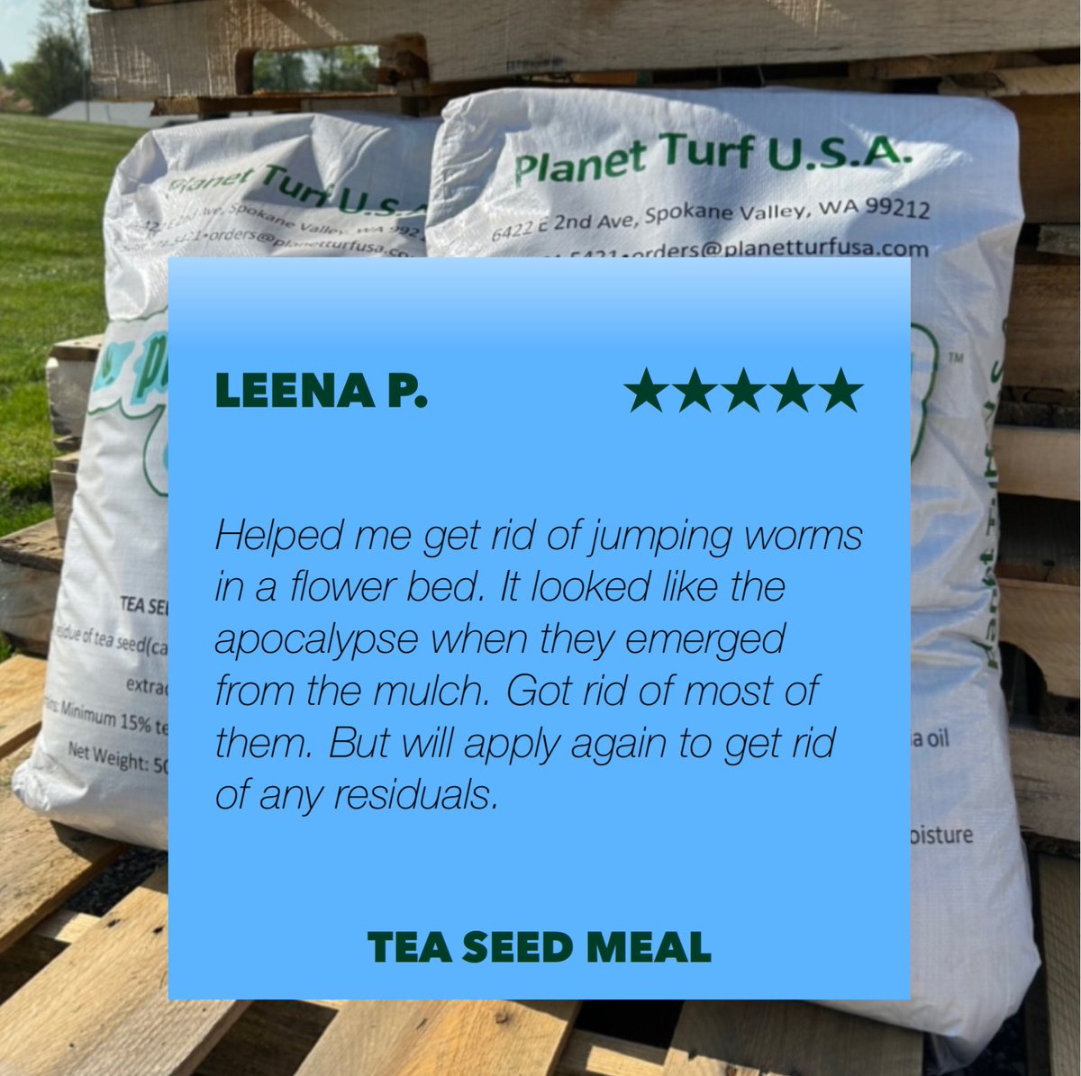 5-Star Reviews are IN! Tea Seed Meal is available in 50lb and 25lb bag options, and is the perfect organic solution for you as the weather gets warmer! 

Visit GenesisSupplyStore.com for purchase! 

#teaseedmeal #organic #turf #garden #landscape
