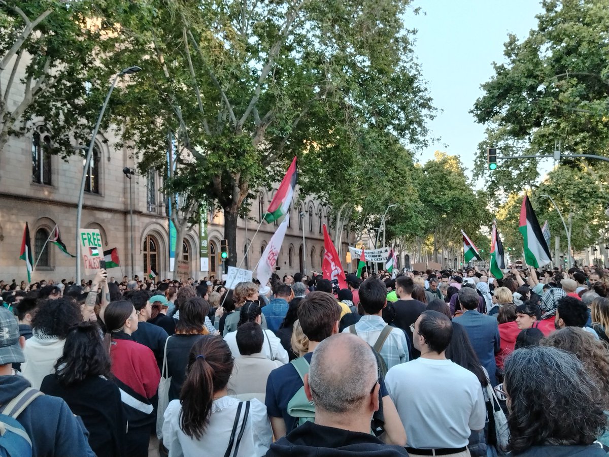 🇵🇸 Ara mateix a Barcelona centenars de persones es concentren en resposta a l'atac sionista contra Rafah. La protesta és just davant de l'edifici històric de la UB on hi ha la campada de solidaritat amb Palestina des del dilluns