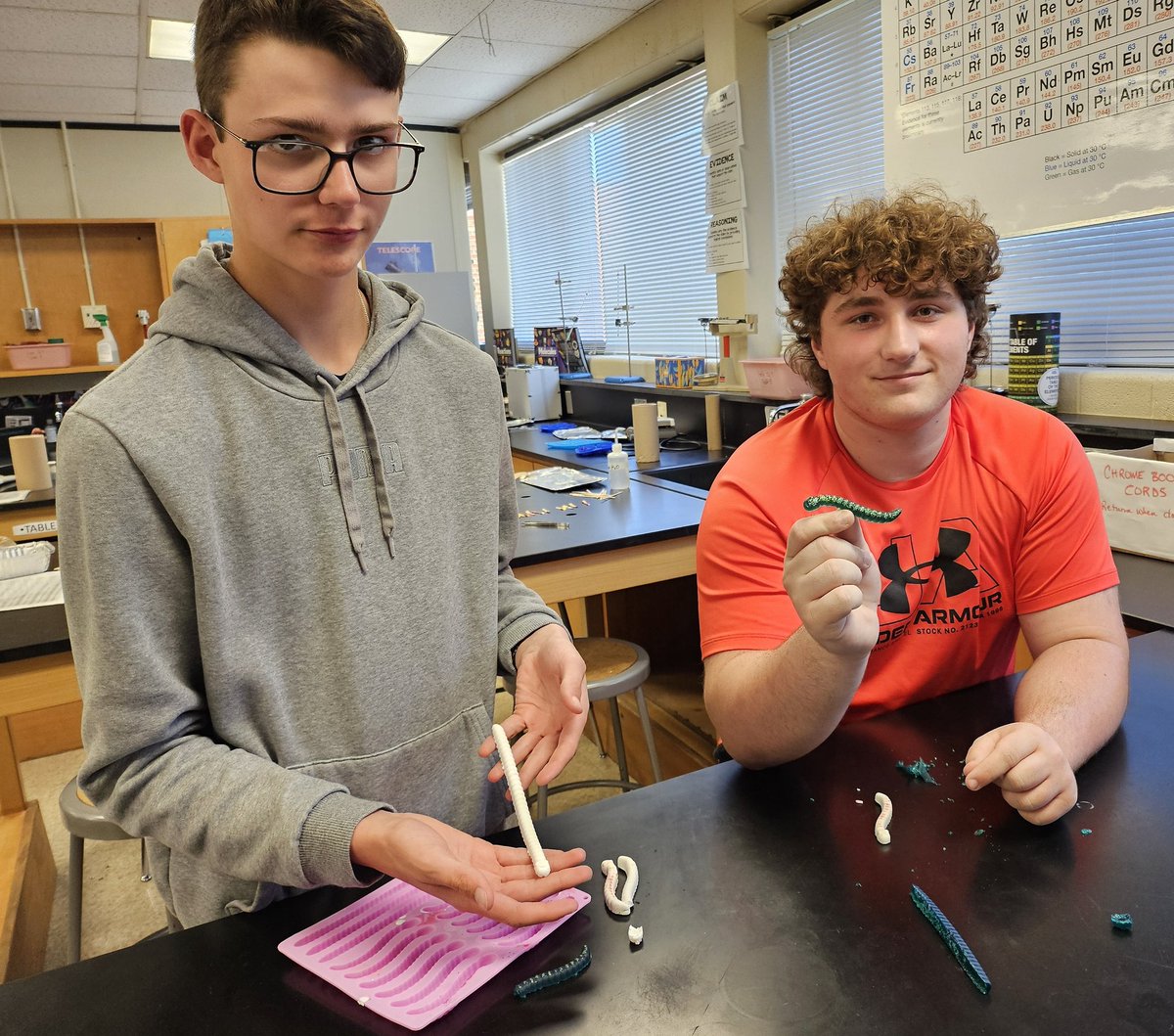 Anna Marie Bair tweet media