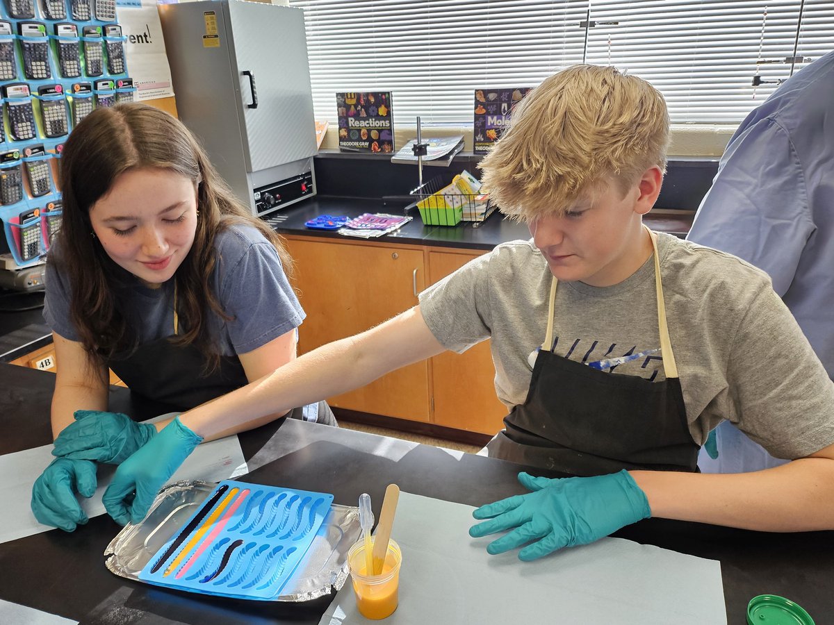 Anna Marie Bair tweet media