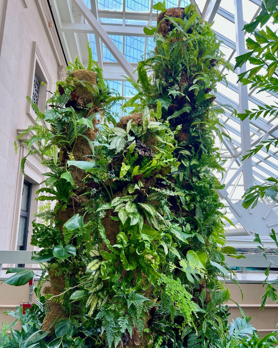 Reaching new heights in green innovation🌿 Embrace the uniqueness of this living column as nature and architecture intertwine seamlessly.

#Cityscapes #BiophilicDesign #Biophilia #InteriorPlants #Boston #VisitBoston #GreenSpaces #VerticalSpace #BringNatureIndoors #InteriorDesign