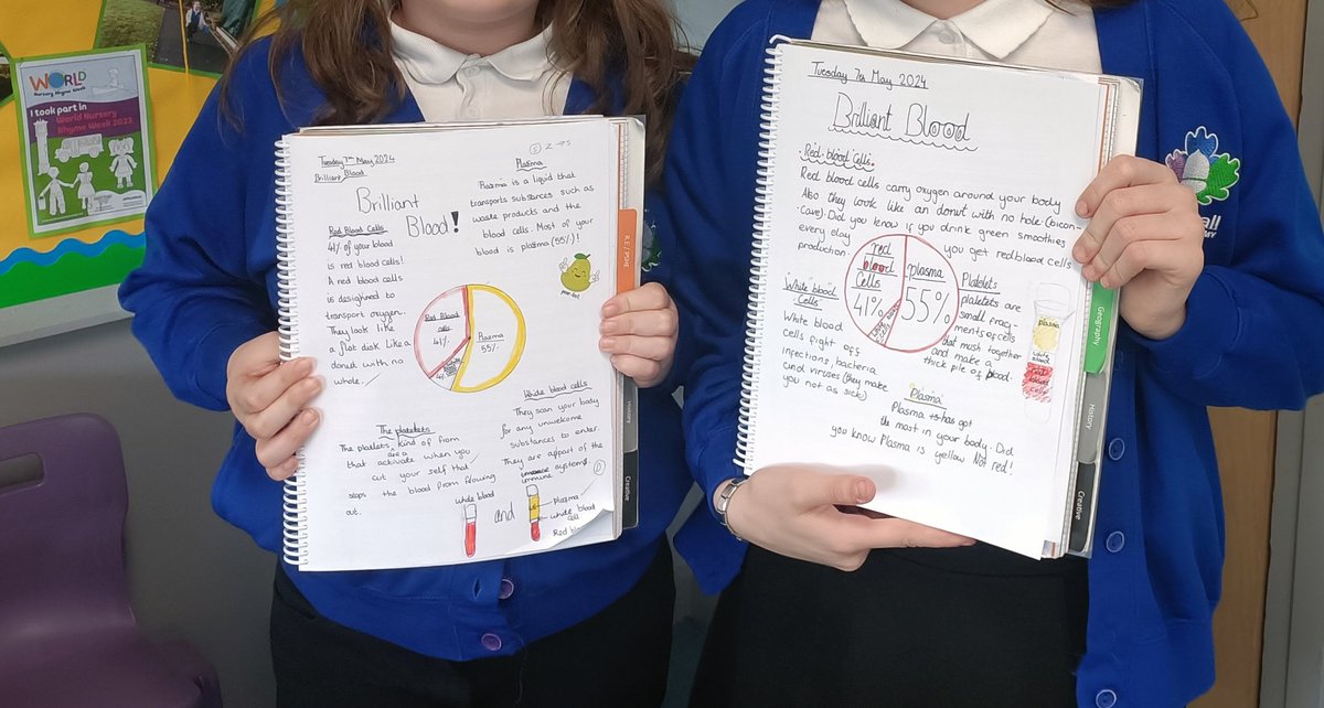 Another lovely visit from Y6 to share their incredible science work. It was great to see their enthusiasm and ability to talk about what they had learnt #buddingnscientists @ipa_spencer @satrust_