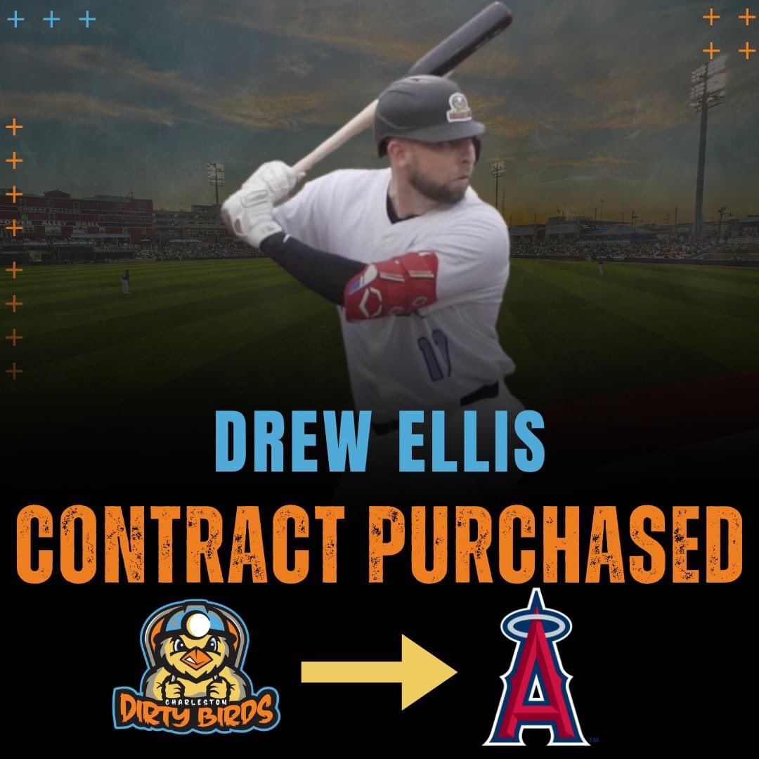 How does that old saying go? 🤔 Oh yeh! Another day, another contract purchased 🎉 🤩 Congrats to our guy Drew Ellis on having his contract purchased by the @Angels! We wish you the best of luck ⚾️ #staydirty #DirtyBirds