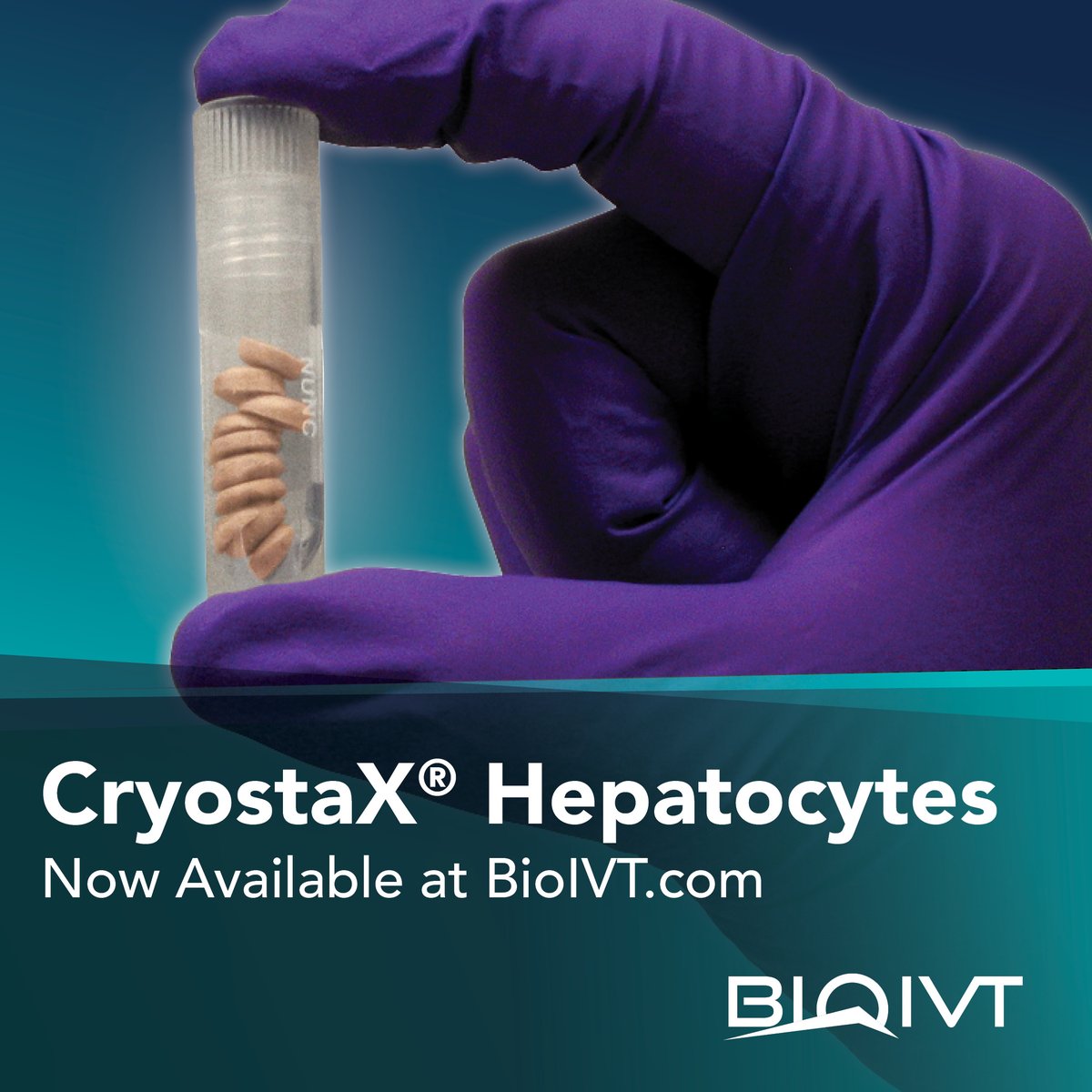 #CryostaX #hepatocytes are now available on BioIVT .com! Created using a patented method, users can skip the water bath thawing step and easily pool donors without undergoing a second cryopreservation step. Learn more: hubs.ly/Q02w7Z5g0
 
#ADME #DMPK