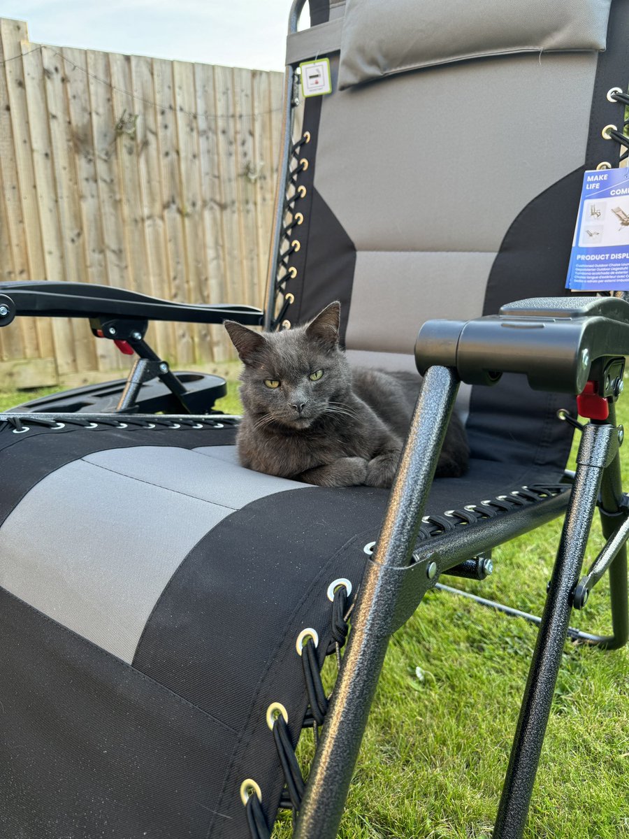 New sun beds only got set up a couple of hours ago….

Don’t know what I expected 🤣🤣 He just had to try them out 🤣