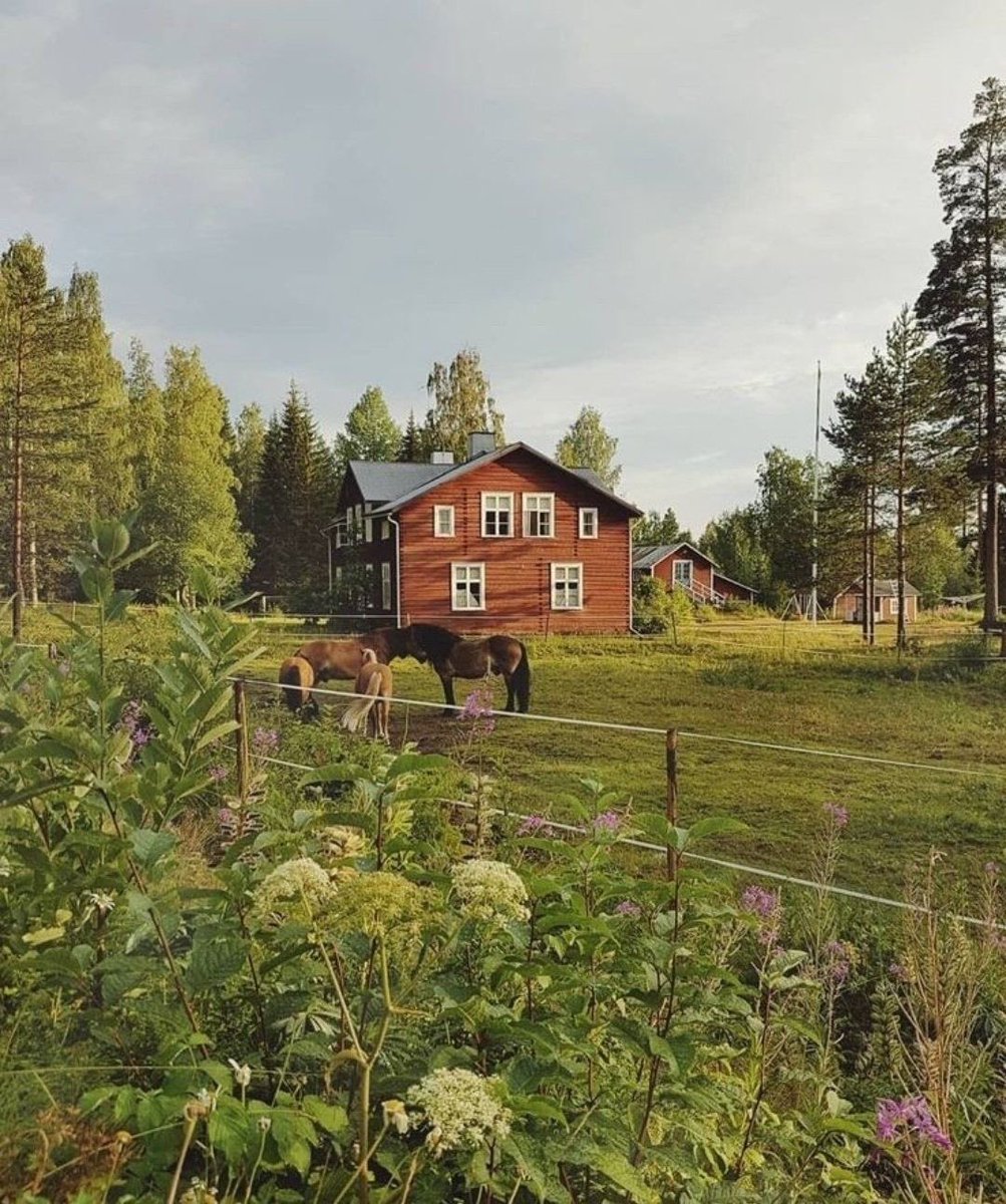 jesslaurynn's tweet image. How life is supposed to be