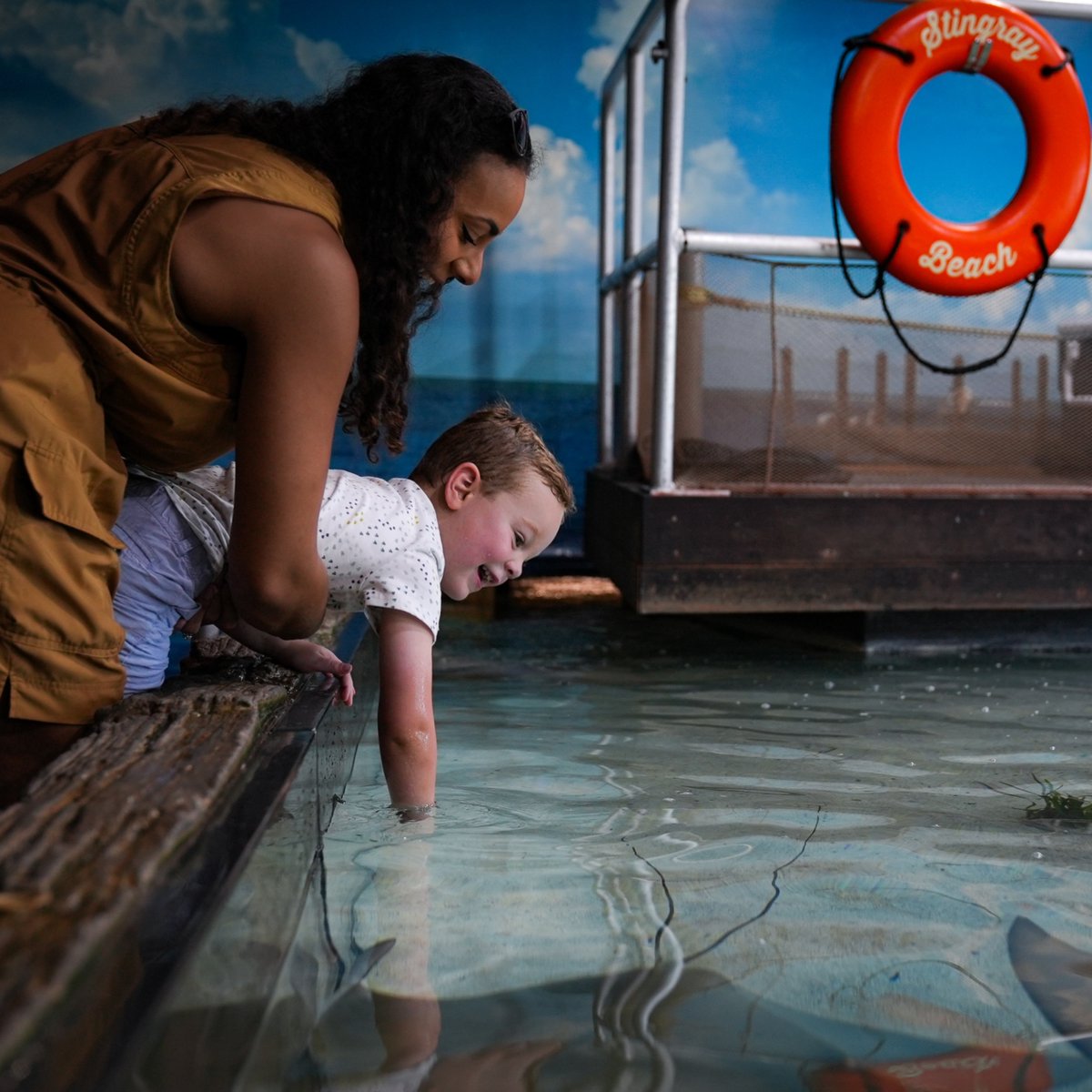 Celebrate mom with an ocean of love! 💙 This Mother’s Day weekend, enjoy two-for-one admission! To receive this offer, please purchase tickets in person at the Aquarium ticket booth on Saturday, May 11 or Sunday, May 12. No online reservation required.