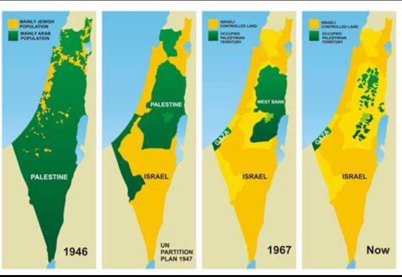 Palestinienne🇵🇸🇾🇪🇮🇷🇩🇿🔻 tweet media