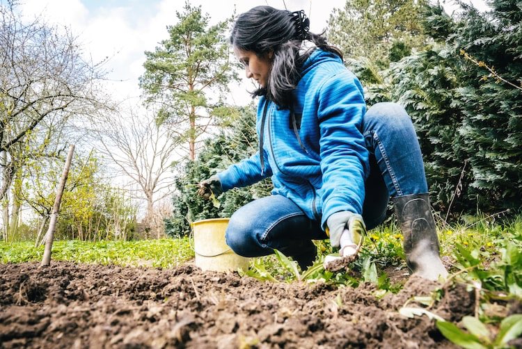 RenuatEAP's tweet photo. Four ways gardening is a great workout. Indeed the perfect activity for FitWeek@gecdsb  https://t.co/LrVdzLHshO https://t.co/Hu46631e9A