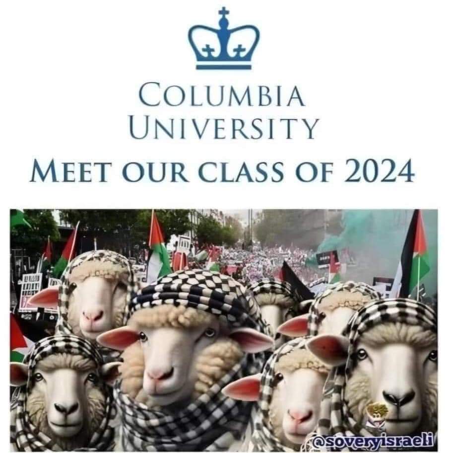 latinoconserv's tweet photo. @Columbia https://t.co/rDnwpxOiK2