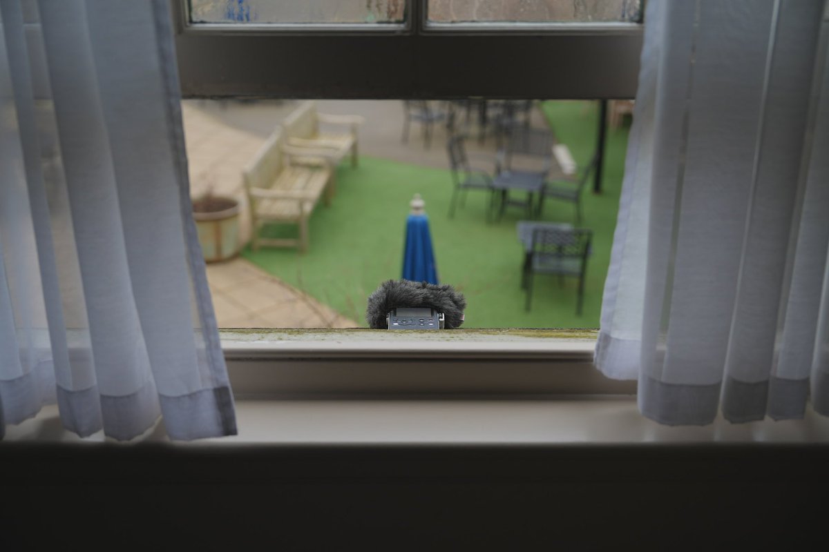 tanjoy sound tweet media