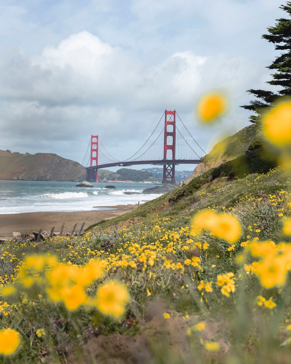Golden Gate in the Golden State 🌁 The California Coastal Trail: Lands End to Golden Gate Bridge features classic San Franciscan landmarks like the iconic Golden Gate Bridge. Check out more on this adventure and add it to your list: bit.ly/4b6u2L3 📸 @kelseybum