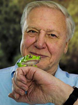 Every biologists 'grandfather' turns 98 today! 

Happy birthday Sir David. 

#HappyBirthday #DavidAttenborough