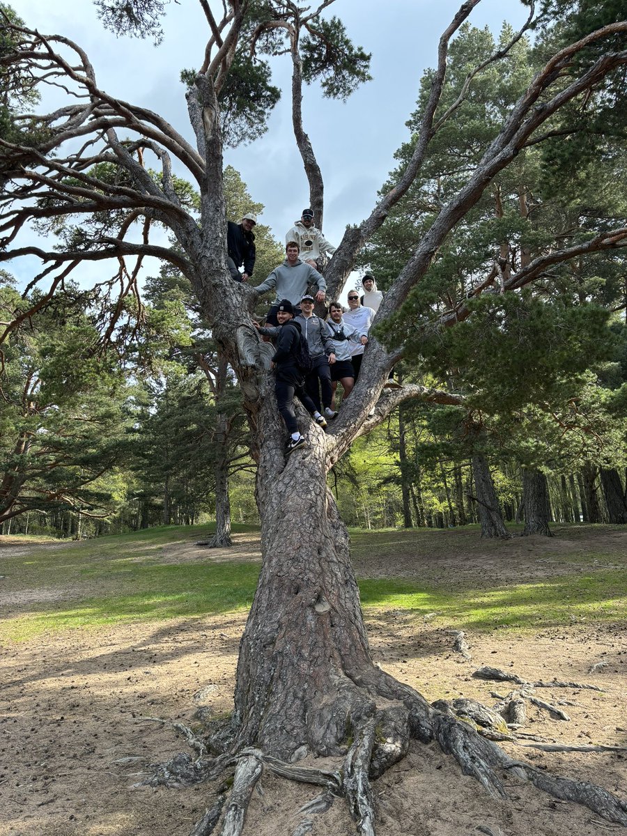 🏴󠁧󠁢󠁳󠁣󠁴󠁿🏴󠁧󠁢󠁳󠁣󠁴󠁿 The Highlands = Trees + Lochs + Beaches + Bens (translated to Mountains in Gaelic) 
#XPK2WIN #KohawkNation