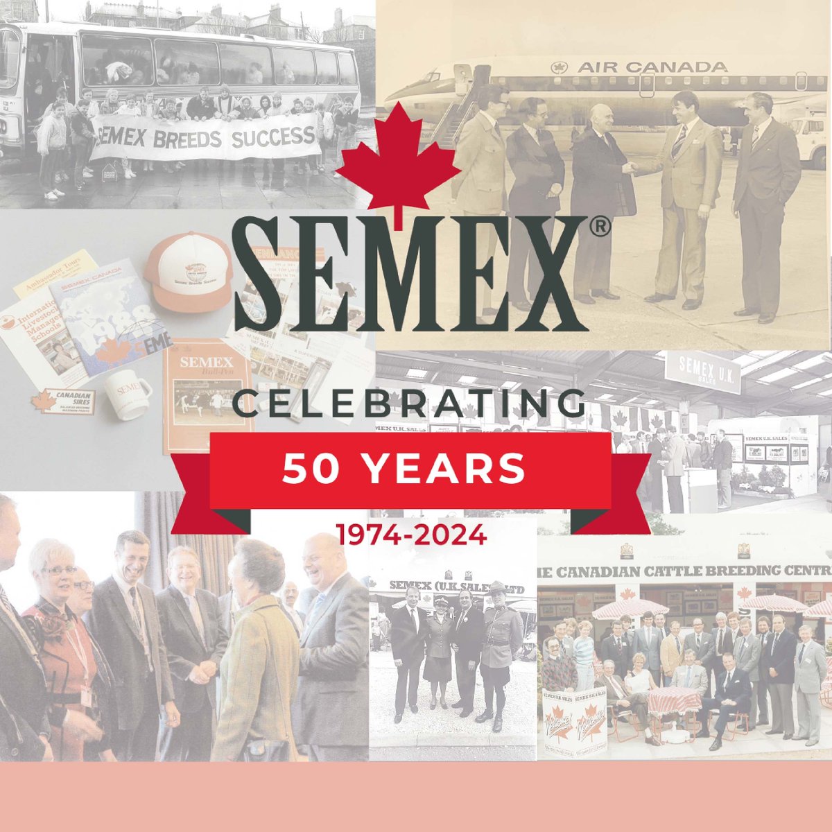 Celebrating 50 years of Semex!
#geneticsforlife