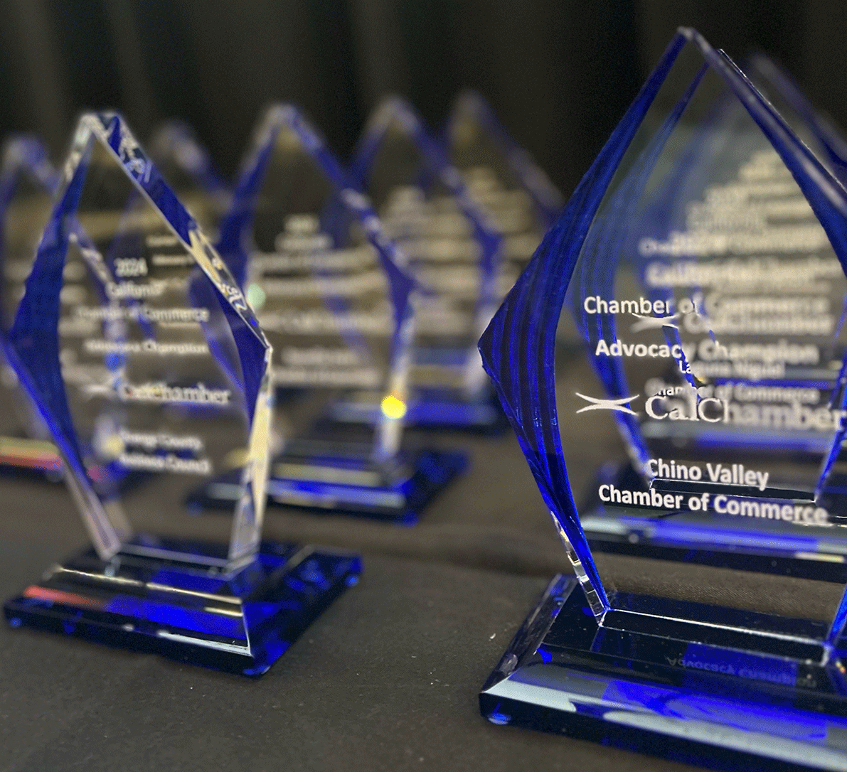 CalChamber (@calchamber) on Twitter photo Congratulations to this year's Advocacy Champion Award winners! #CalChamberCapitolSummit
<a href="/ChinoValleyCC/">Chino Valley Chamber of Commerce</a>
<a href="/FremontBusiness/">Fremont Chamber</a>
<a href="/lnchamber/">Debbie Newman</a>
<a href="/Lodichamber/">Lodi Chamber</a>
@mmwcoc
<a href="/OC_Biz_Council/">OC Business Council</a>
<a href="/RosevilleChambr/">Roseville Area Chamber of Commerce</a>
<a href="/sjchamber/">San Jose Chamber of Commerce</a>
<a href="/san_chamber/">San Luis Obispo Chamber of Commerce</a>
<a href="/StknChamber/">Stockton Chamber</a>
<a href="/TorranceChamber/">Torrance Chamber</a>
Walnut Creek Chamber
<a href="/VICASFValley/">VICA</a> Congratulations to this year's Advocacy Champion Award winners! #CalChamberCapitolSummit
<a href="/ChinoValleyCC/">Chino Valley Chamber of Commerce</a>
<a href="/FremontBusiness/">Fremont Chamber</a>
<a href="/lnchamber/">Debbie Newman</a>
<a href="/Lodichamber/">Lodi Chamber</a>
@mmwcoc
<a href="/OC_Biz_Council/">OC Business Council</a>
<a href="/RosevilleChambr/">Roseville Area Chamber of Commerce</a>
<a href="/sjchamber/">San Jose Chamber of Commerce</a>
<a href="/san_chamber/">San Luis Obispo Chamber of Commerce</a>
<a href="/StknChamber/">Stockton Chamber</a>
<a href="/TorranceChamber/">Torrance Chamber</a>
Walnut Creek Chamber
<a href="/VICASFValley/">VICA</a>