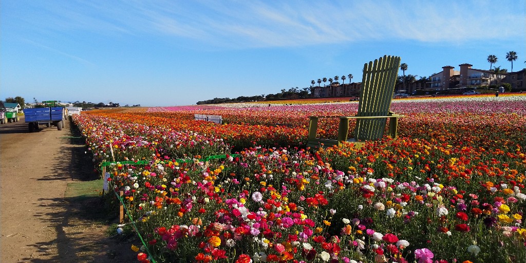 When you visit next, snap a photo on our chair! 🌷