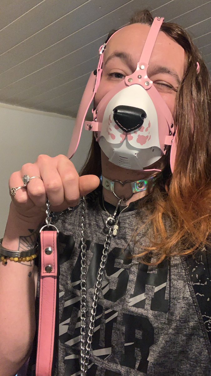 Bought a brand new leash at the Night market 🦮🐾🌸 I highly recommend you @CraftsAndrew, he’s doing a really nice job 🦊✨