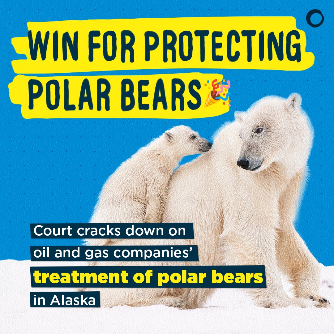 Oil and gas companies were getting a pass to harass polar bears and walruses in the Arctic. So we took @USFWS to court. And we WON 🎉 Read more: foe.org/impact-stories…