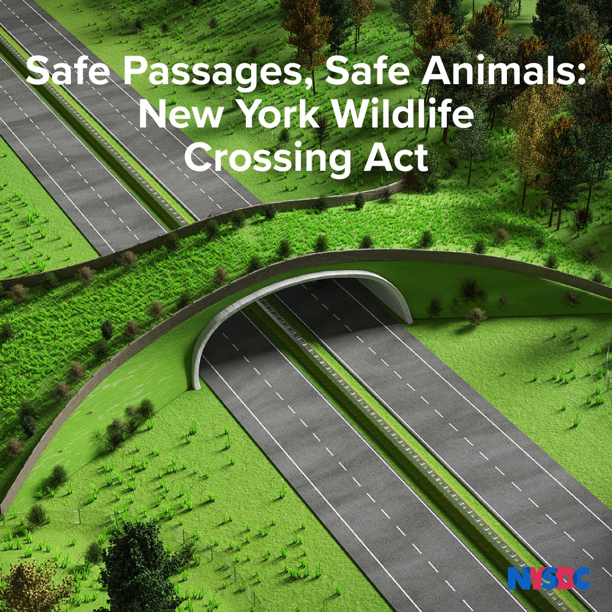 'My Wildlife Crossings bill would draw down $350 million in federal funding from the Infrastructure and Jobs Act to explore the potential for future wildlife crossings in New York to prevent countless injuries and wildlife deaths as well as millions in damage' - @LeroyComrie