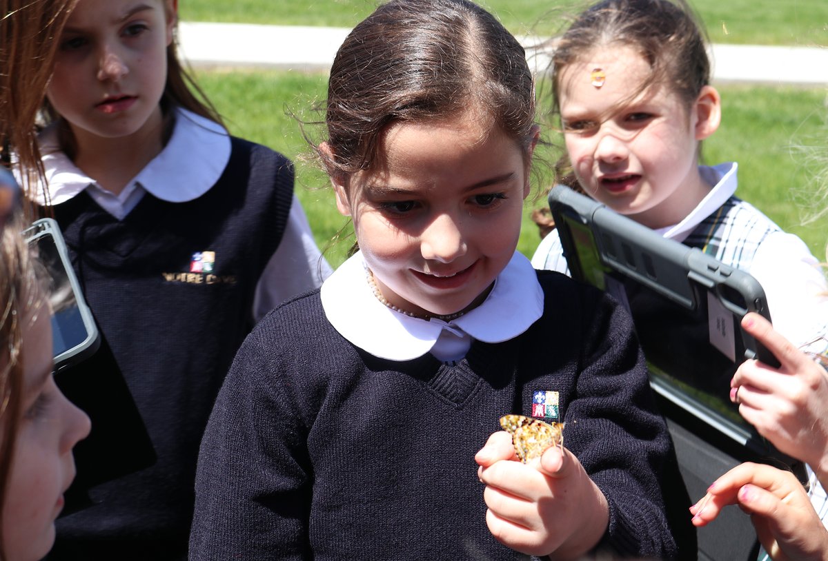 For the last several weeks, NDP 's first grade classes have been learning about the caterpillar/butterfly life cycle. Today, they finally released their Painted Lady butterflies, the most widespread of all butterfly species. #IBtransdisciplinarytheme #sharingtheplanet🌎