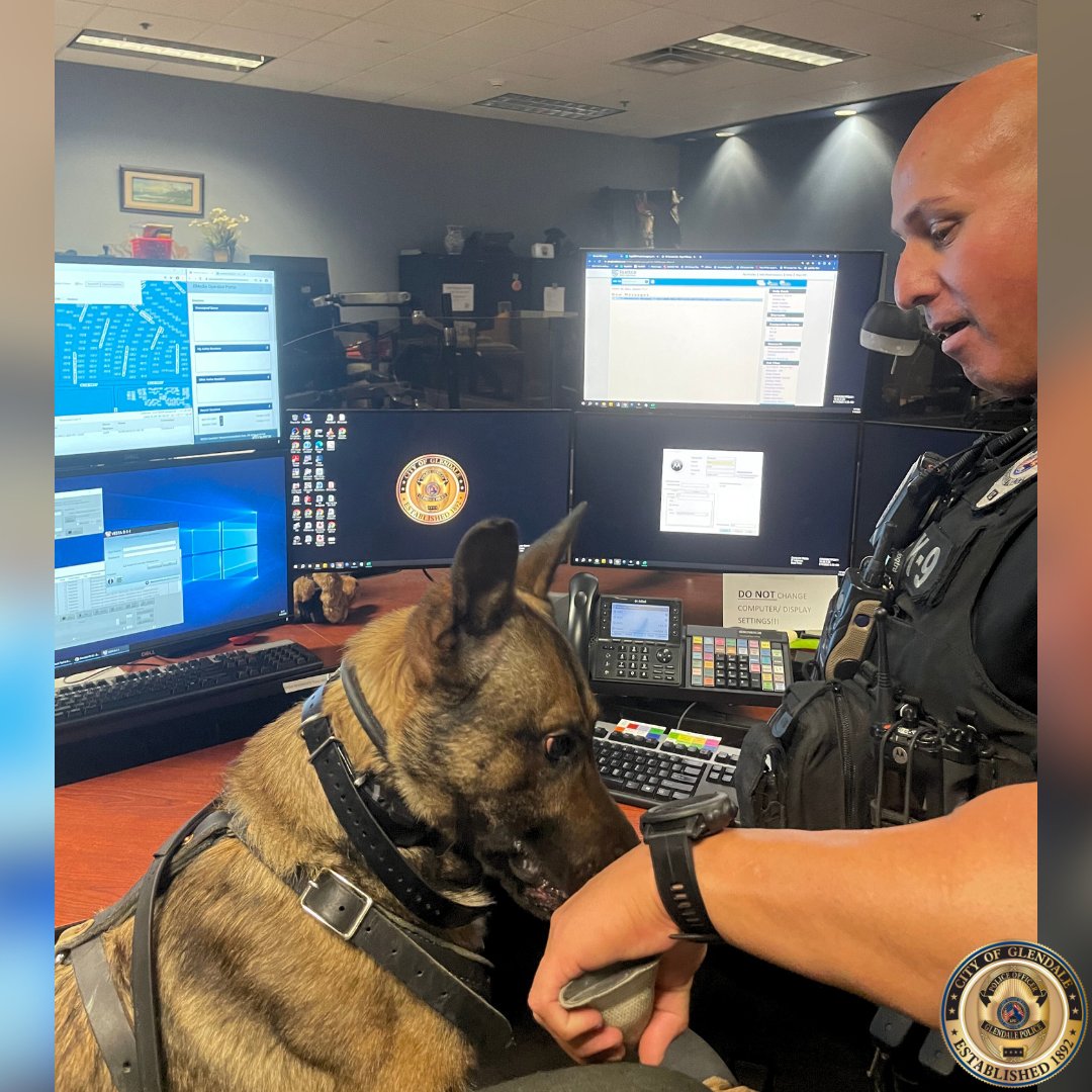 GlendaleAZPD's tweet photo. On this National Third Shift Workers Day, we want to express our gratitude to the dedicated patrol officers who work tirelessly through the night to ensure our safety. Your sacrifice &amp; hard work do not go unnoticed. Thank you for your unwavering commitment. #ThirdShiftWorkersDay https://t.co/pl1WZIgjc4