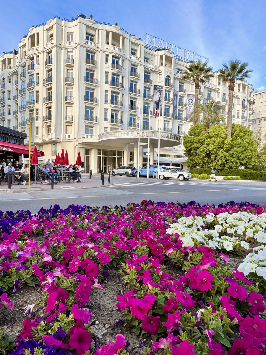 Parterre de fleurs multicolore 

Belle soirée 

#CotedAzurFrance  #CannesFrance  #Cannes 
@Cannes_France  @VisitCotedazur @villecannes