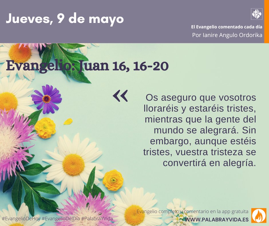 💞 Nuestra tristeza se convertirá en alegría en el encuentro, en el abrazo con el Señor resucitado. Hoy es día de recordar, volver a pasar por el corazón, tus encuentros con Jesús. @IanireAngulo 

#EvangelioDelDía #EvangelioDeHoy #PalabrayVida #Pascua