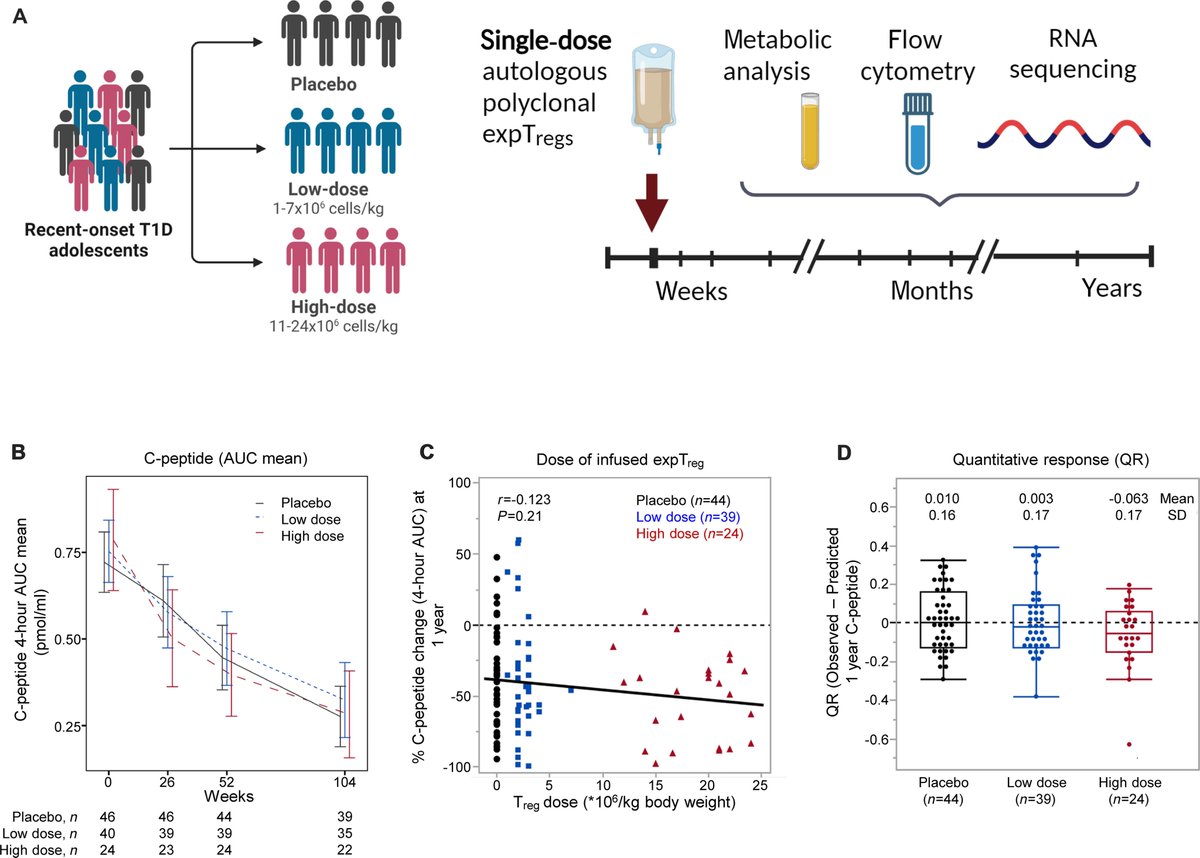 Single-dose expanded Tregs do not preserve clinical β cell function in new-onset type 1 diabetes (phase 2 trial), despite their in vitro efficacy @ScienceTM science.org/doi/10.1126/sc…