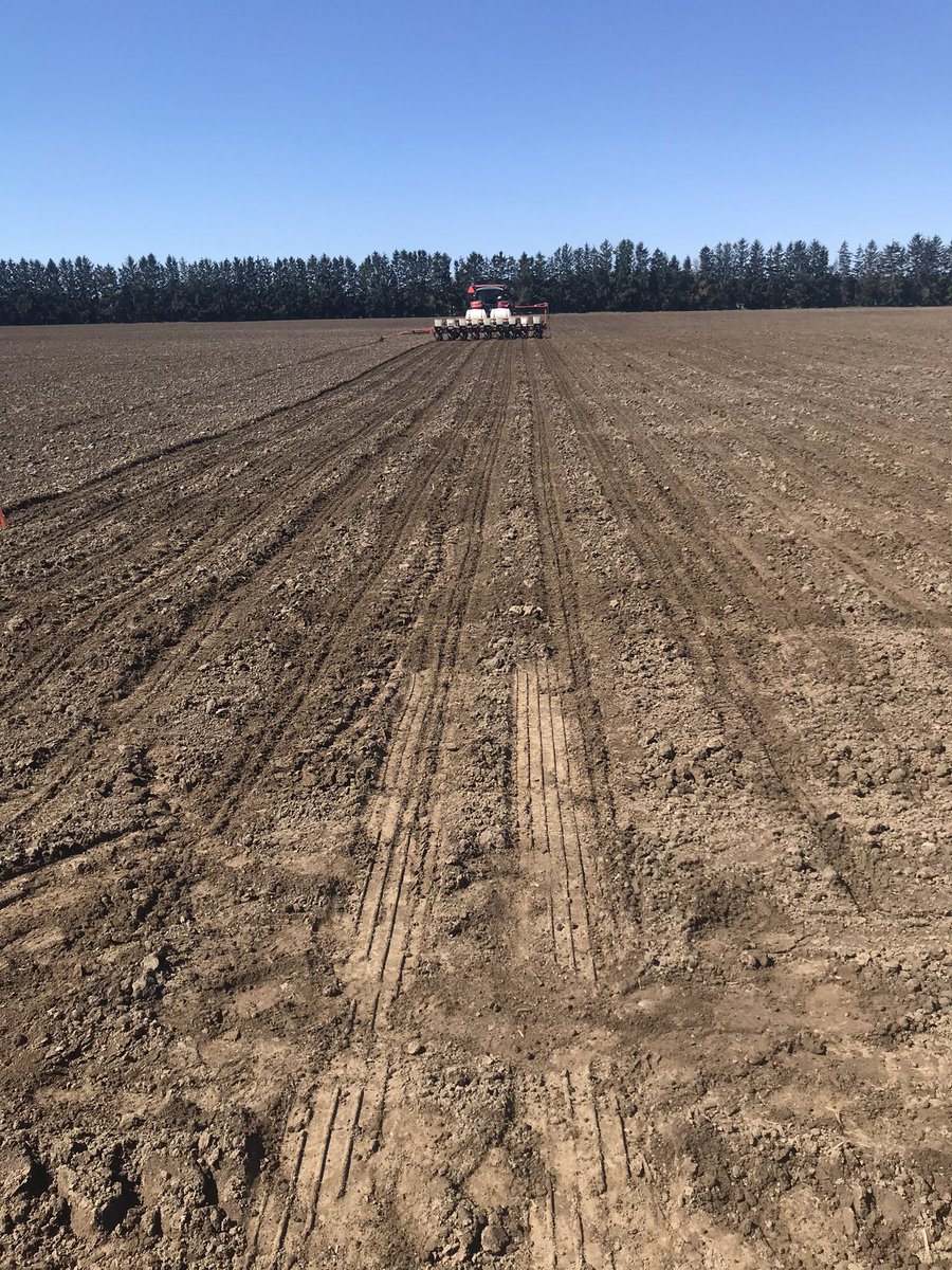 Great to have some progress south of Chatham on the “monkey dirt” this morning. Keep an eye on A7599G9, A7388G8 amongst others. #PRIDEinMyField #ontag