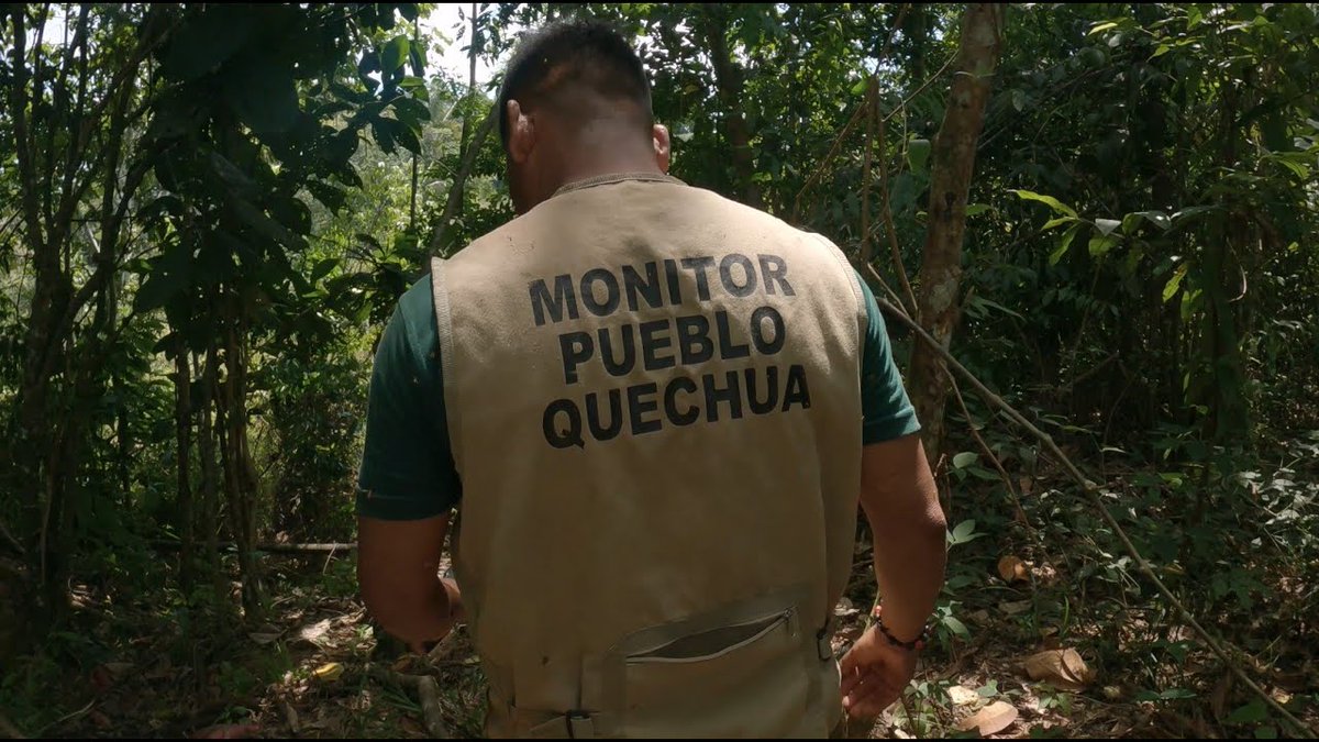 Los impactos petroleros al norte de la Amazonía peruana son un crudo testimonio de contaminación en comunidades indígenas. Para ello, los monitores ambientales indígenas de las federaciones que nuclea PUINAMUDT cumplen un rol estratégico Conoce su trabajo bit.ly/3UB8UoS