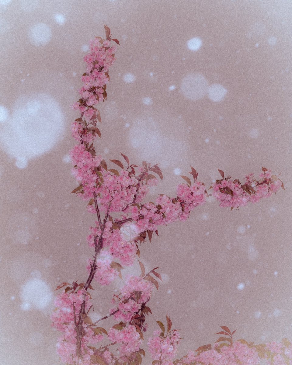 Adrien Perritaz tweet media