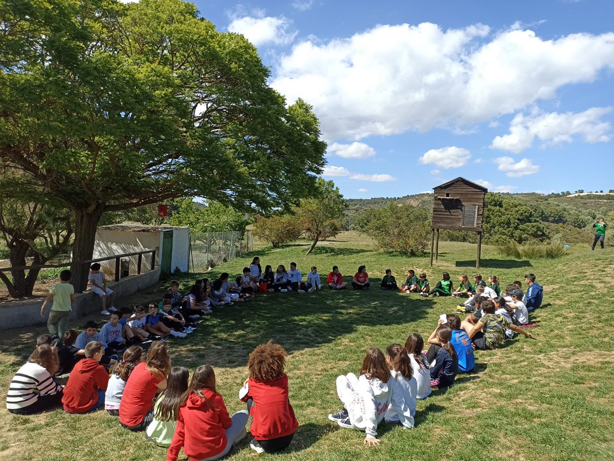 Encuentro Regional de Alumnado #Ecoescuelas 🌍🌱
Los estudiantes reflexionan sobre la transformación de espacios desde principios de sostenibilidad y mejora de su aprendizaje🏫💚 #Investigación #Experimentación #Innovación #Transformación #ProgramaCIMA