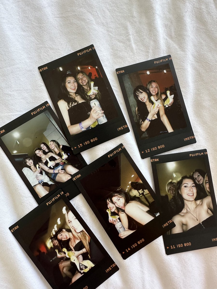 haley tweet media