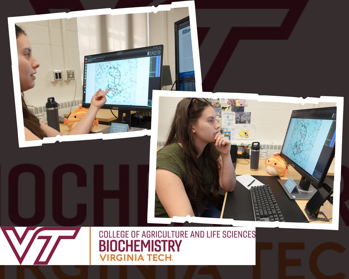 VT Biochemistry (@vtbiochem) on Twitter photo Congratulations, Haley Michel, on your publication! 🥳😎 …d-ncbi-nlm-nih-gov.ezproxy.lib.vt.edu/38576161/ "In this paper, we used molecular dynamics simulations to study a G-quadruplex known to downregulate HIV-1 gene expression. Our findings showed that the G-quadruplex can adopt distinct base-pairing Congratulations, Haley Michel, on your publication! 🥳😎 …d-ncbi-nlm-nih-gov.ezproxy.lib.vt.edu/38576161/ "In this paper, we used molecular dynamics simulations to study a G-quadruplex known to downregulate HIV-1 gene expression. Our findings showed that the G-quadruplex can adopt distinct base-pairing