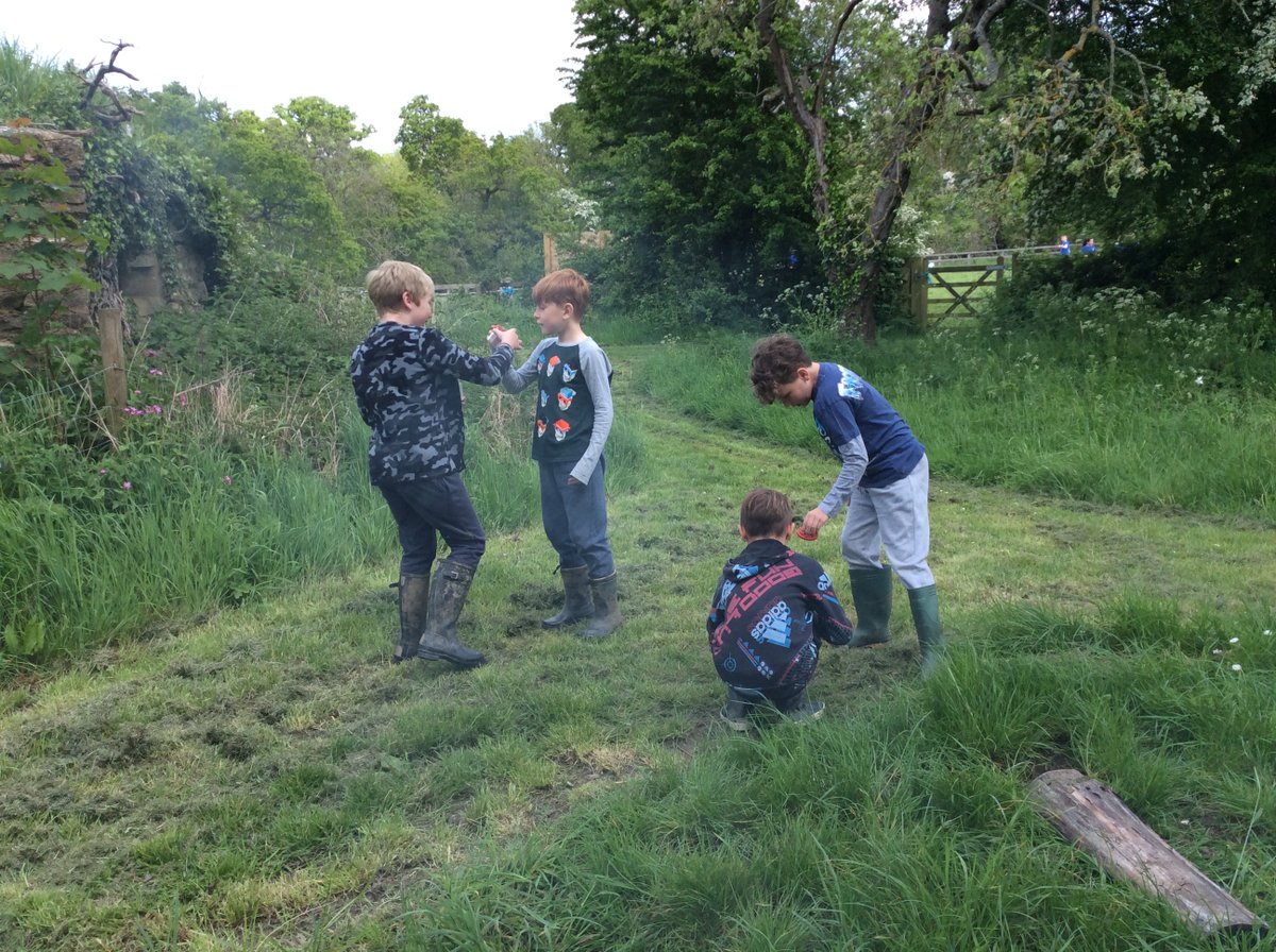 Cooking baked apples and exploring bug habitats on a beautiful day at Forest School!