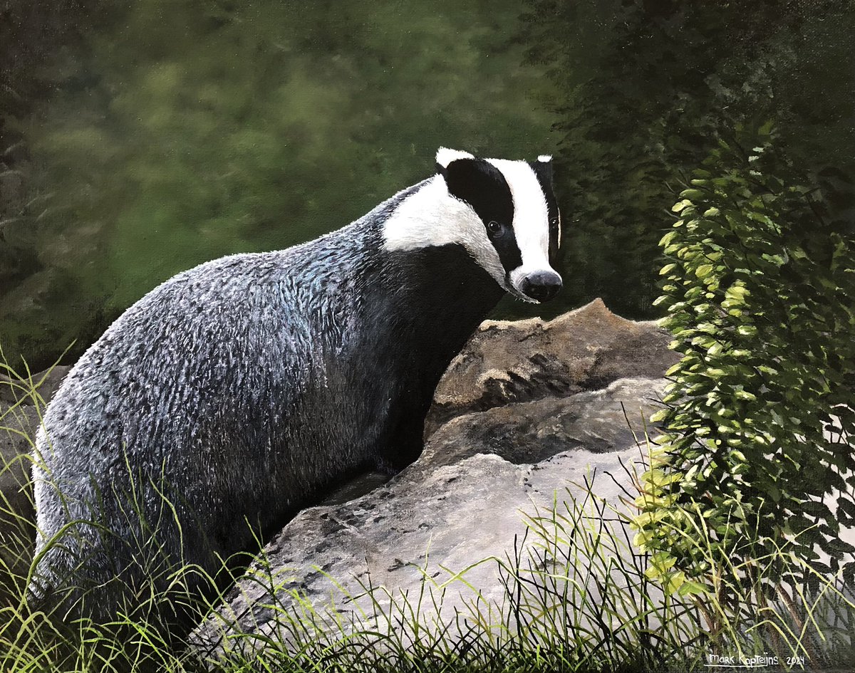 Nieuw schilderij.
40x50 cm olieverf op doek.
#das