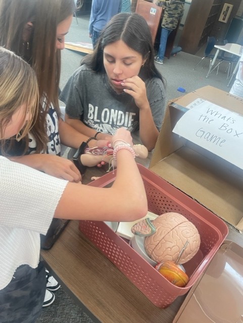 Megan Bruce tweet media