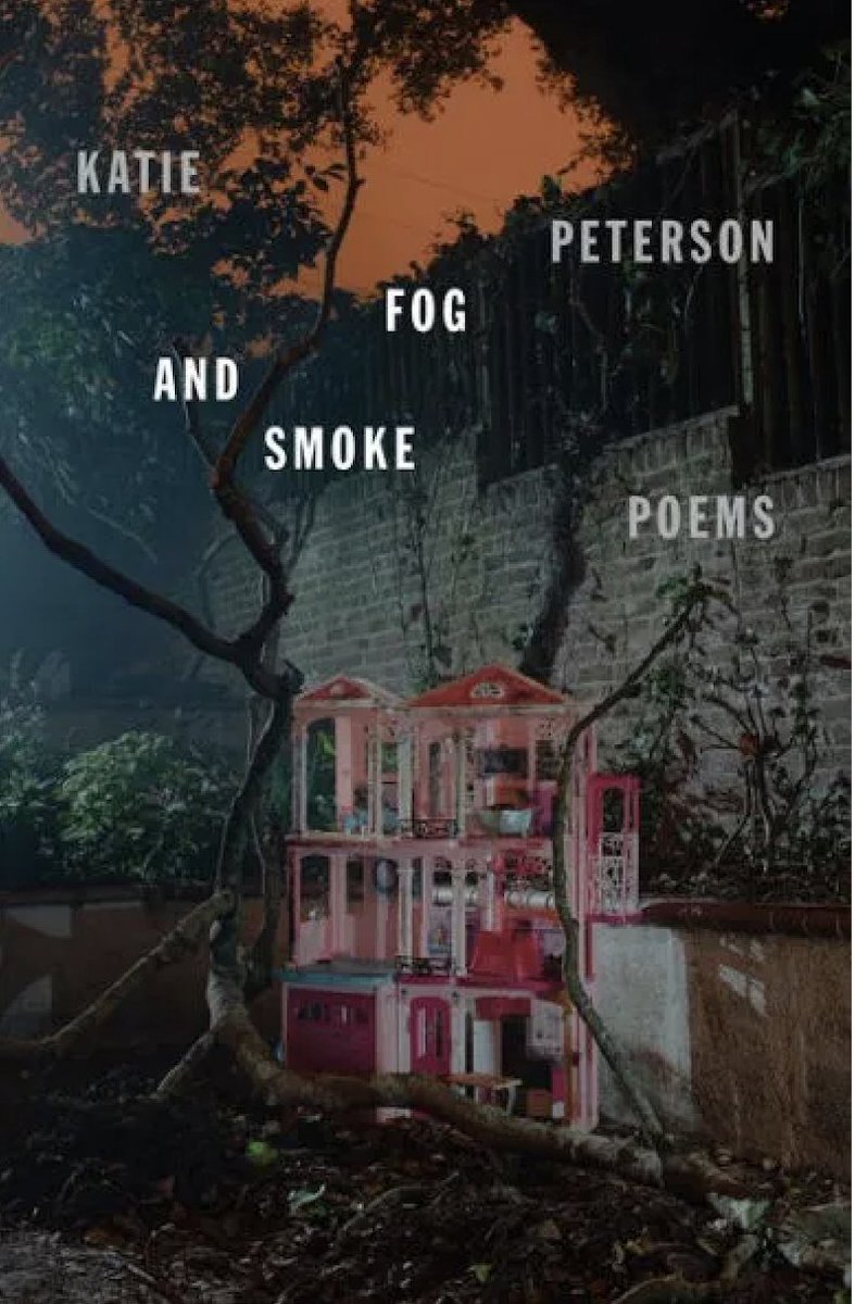 'In Katie Peterson’s FOG & SMOKE @fsgbooks, every search for clarity & connections must proceed through the full awareness of what constrains us. Both poet & reader must submit to assessment': from my 'Book Notes' column + 2 more reviews @On_The_Seawall bit.ly/44B6GKI