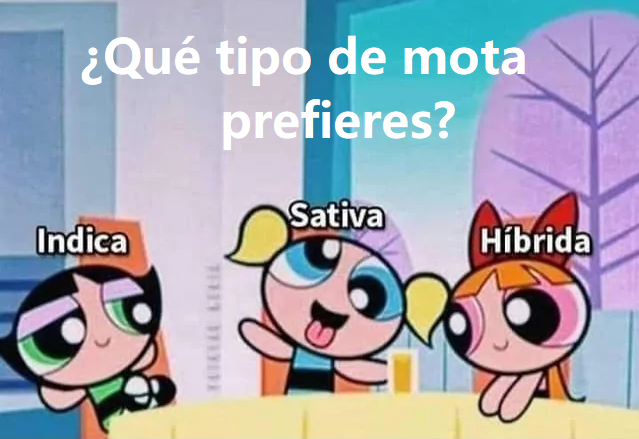 Mariguanillo's tweet photo. ¿Qué team eres? #cannabis https://t.co/3bbnXCAkPe
