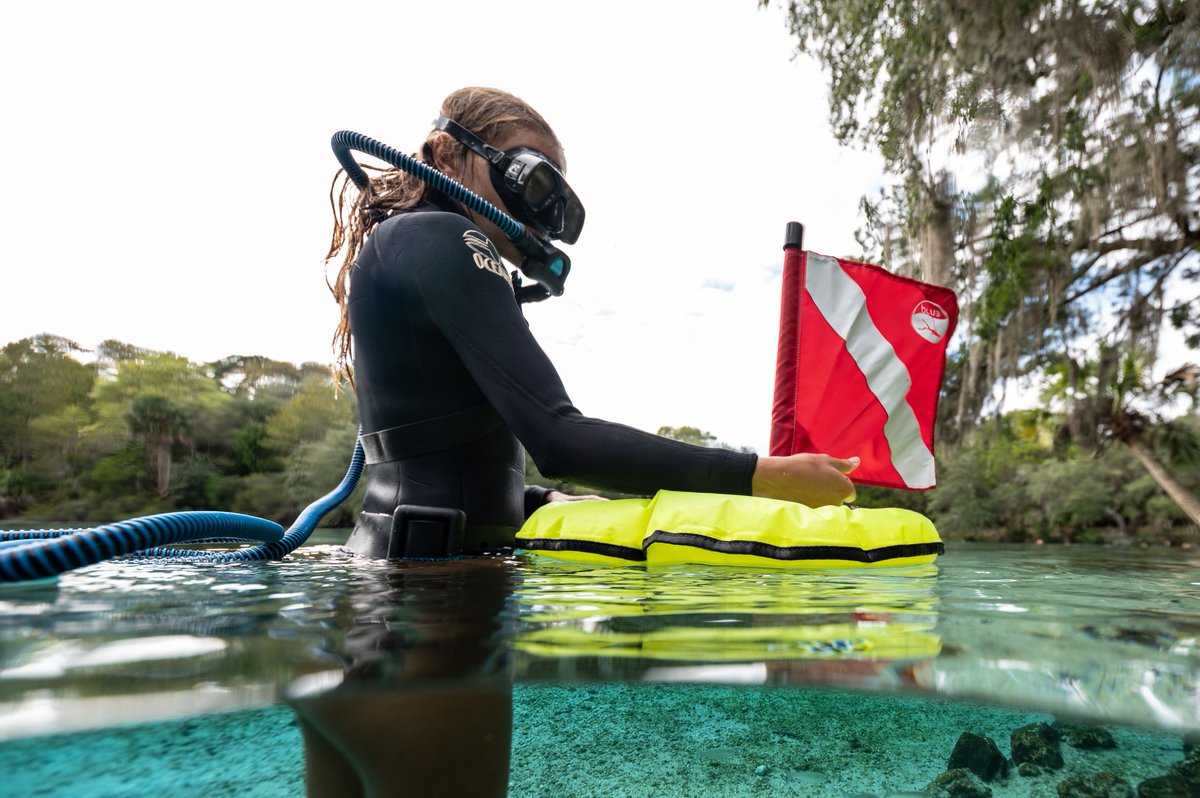 diveblu3's tweet photo. Explore the beauty of the underwater world of the Florida Springs with one of our shallow water, portable, battery-powered dive systems ๐ #GoTankless ๐คฟ #tanklessdiving #diveBLU3 https://t.co/UhqK0aBDSA