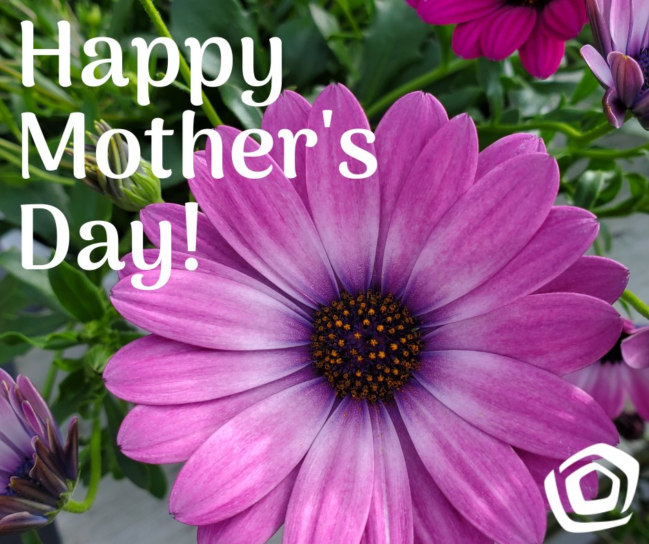 Wishing all the incredible Moms, stepmoms, grandmas and mother figures a truly amazing day filled with love, joy and appreciation.

Happy Mother's Day!

#thebloomingardener #happymothersday #mothersday #Mothersday2024 #itsmomsday #localgreenhouse #opentoday #spoilyourmom #YQG