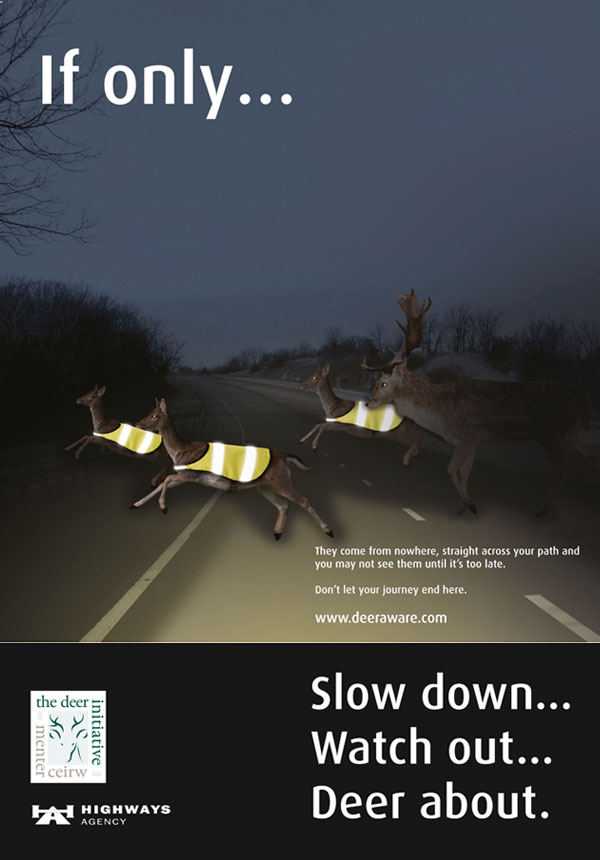 ❗️ Please be aware that more deer will be around our roads at this time of year, and more collisions are likely! 🦌 Stay safe and #DeerAware by following these top #DeerSafe tips: deeraware.com/safety-advice/ @transcotland #DriveSafe