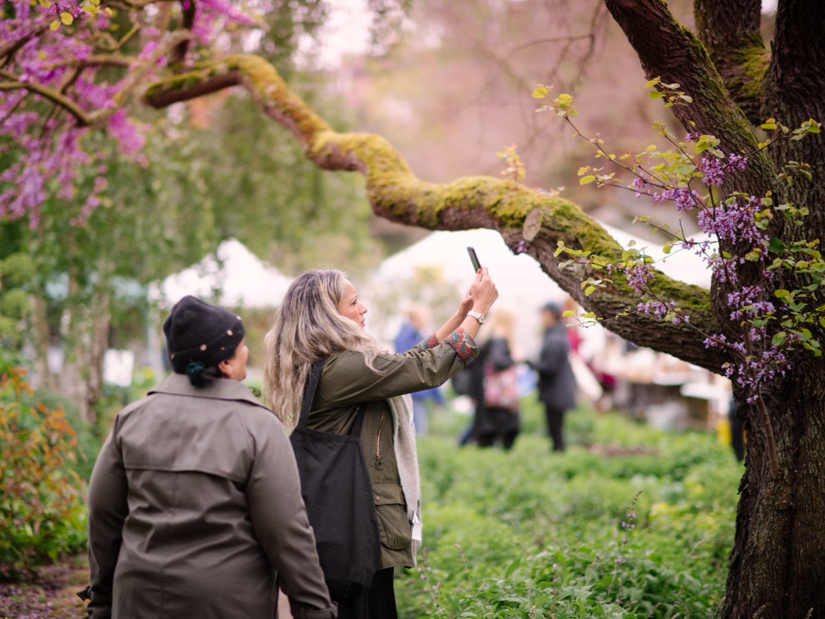 We're looking for people who work remotely and have not visited the Garden before, to participate in a discussion group on Tuesday 14 May 5.30pm - 7pm. 🎫🔎 Sign up: bit.ly/3wt3h4e. #survey #focusgroup