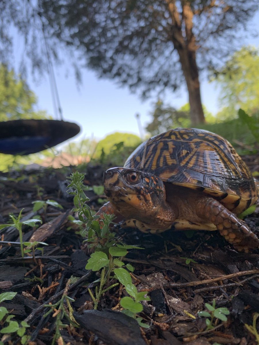 Eric Michalsen tweet media