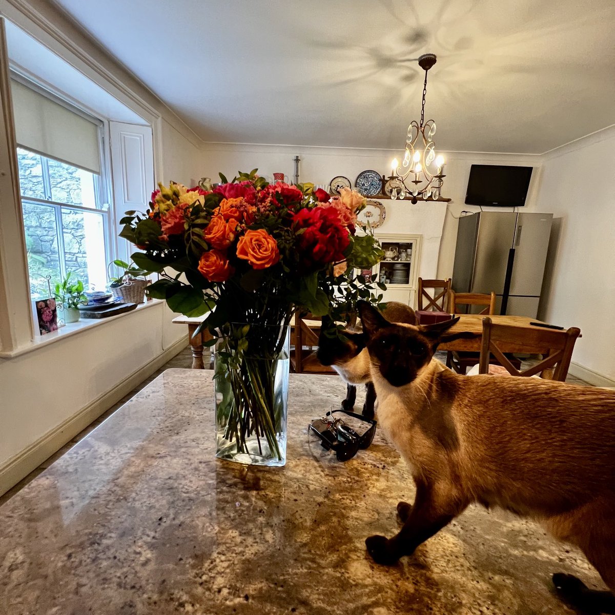 LUCINDA O’SULLIVAN tweet media