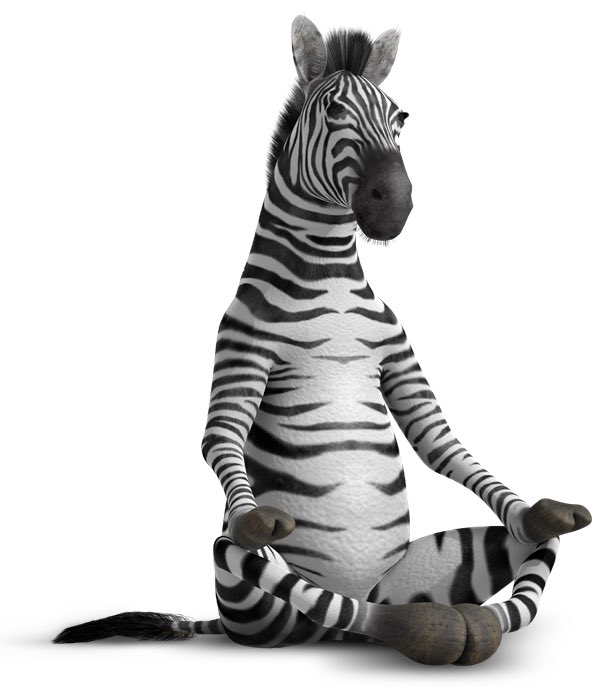 Mammabell15's tweet photo. And Iβm back ππ»π fell asleep half way through, just hope I wasnβt snoring π€ππ #meditation #zenzebra #buddhistcentre https://t.co/3LVeu9DNpm