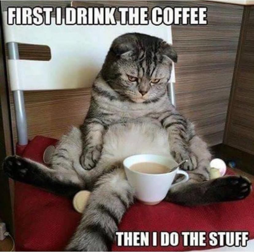 Hold on...still drinking the #coffee. Doing the stuff comes later. Much later. 😆

#coffeetime #coffeebreak #CoffeeFirst #catsandcoffee #morningvibes